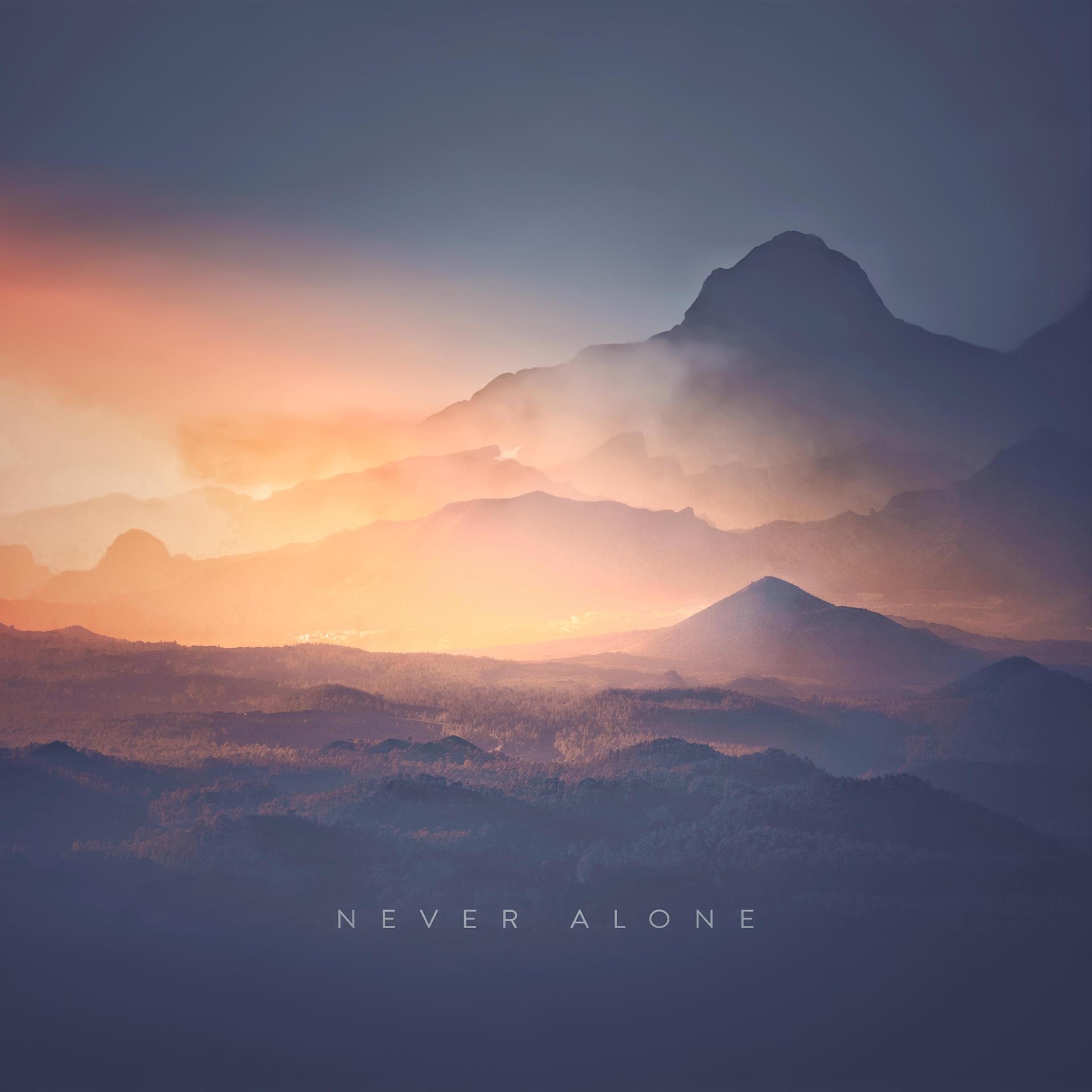 neveralone安卓版neveralone怎么开双人-第2张图片-太平洋在线下载