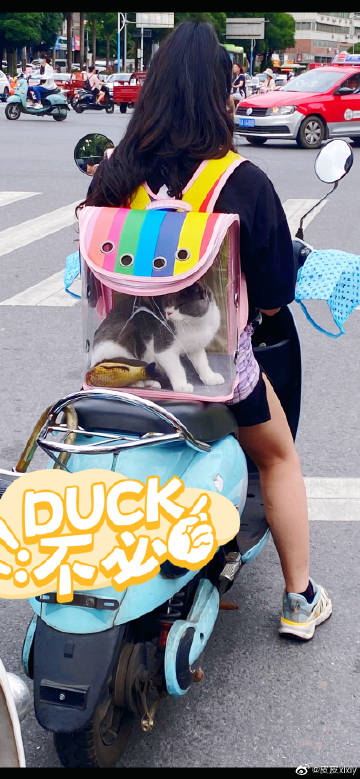 皮皮达人安卓版皮皮机器人app怎么下
